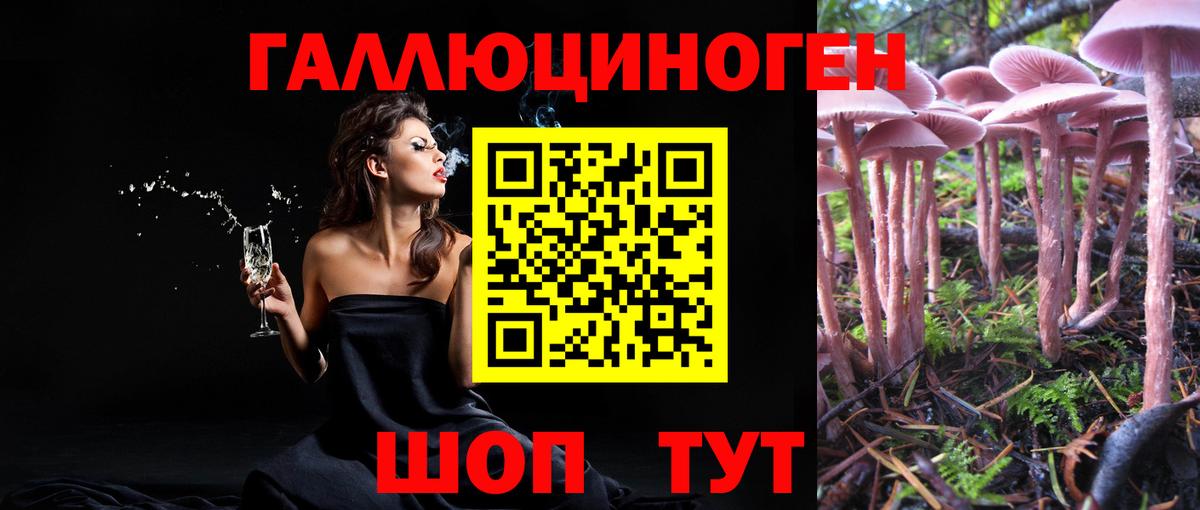 Псилоцибиновые грибы Magic Shrooms Зеленогорск