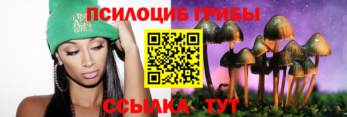 Зеленогорск  Галлюциногенные грибы ЛСД  Вход с VPN  Галлюциногенные грибы мицелий 